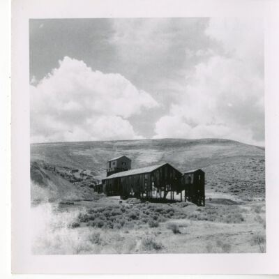 Print, Photographic