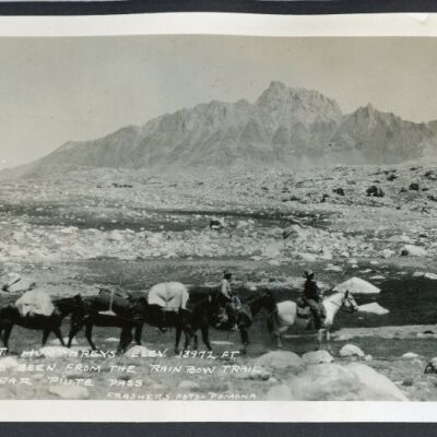 Print, Photographic