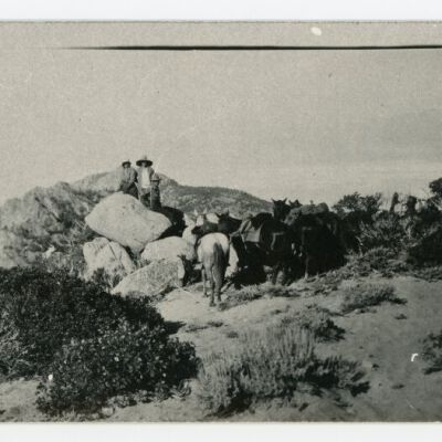Print, Photographic