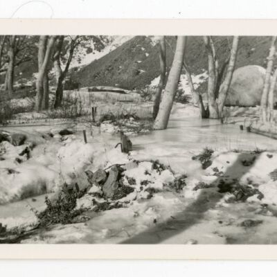 Print, Photographic