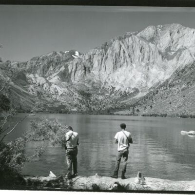 Print, Photographic