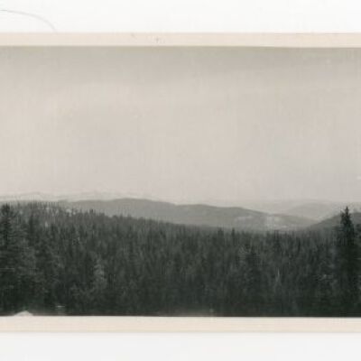 Print, Photographic