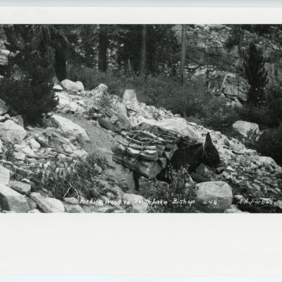 Packing Wood to South Lake Bishop