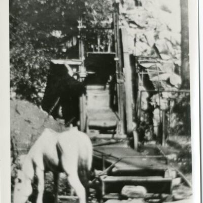 Print, Photographic