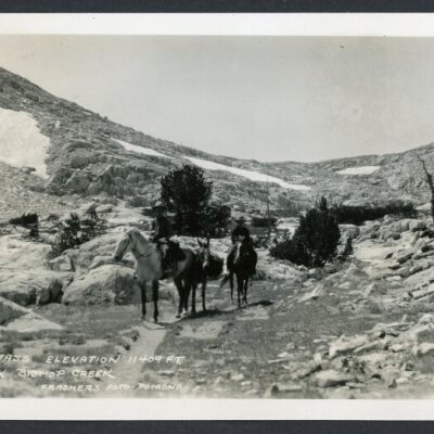 Print, Photographic