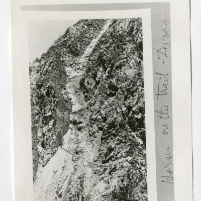 Print, Photographic
