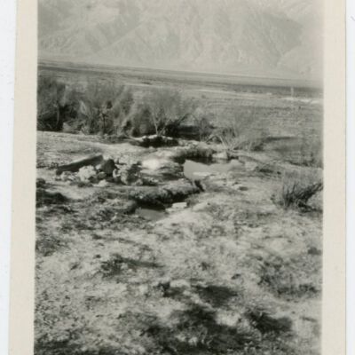Print, Photographic