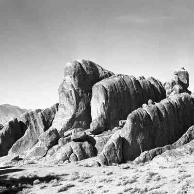 Print, Photographic