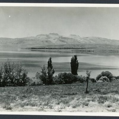 Print, Photographic
