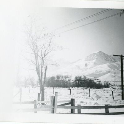 Print, Photographic