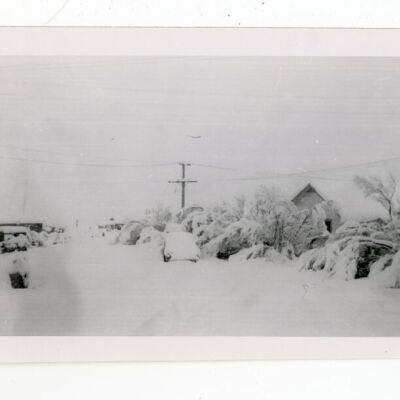 Print, Photographic
