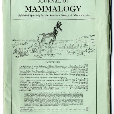 Journal of Mammalogy, Vol. 10, No. 3, August 1929