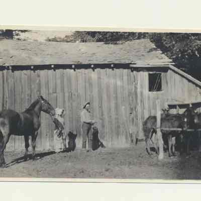 Print, Photographic