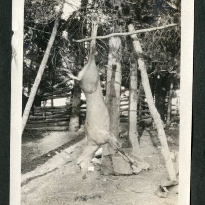 Print, Photographic