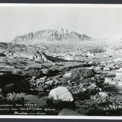 Print, Photographic