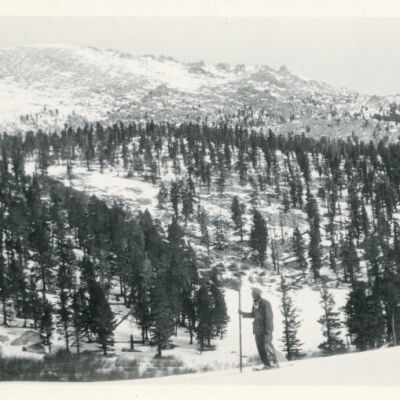 Print, Photographic