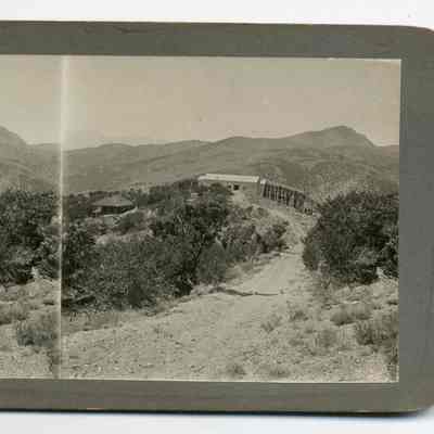 Stereograph
