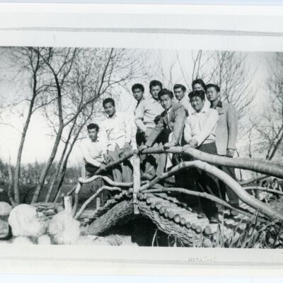 Print, Photographic