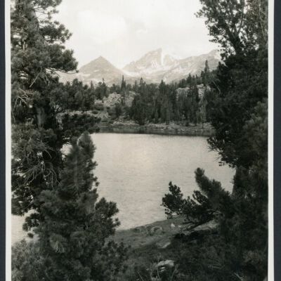 Print, Photographic