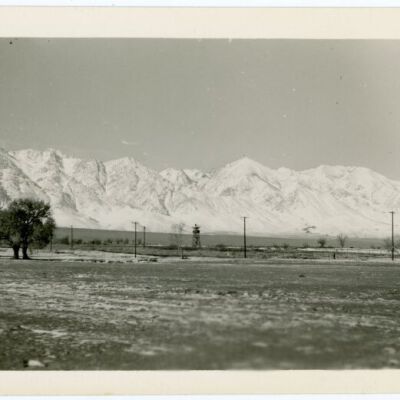 Print, Photographic