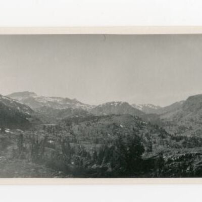 Print, Photographic