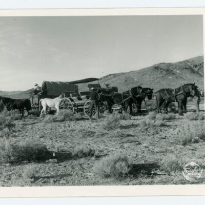 Print, Postcard