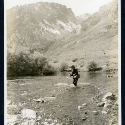 Print, Photographic