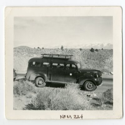 Print, Photographic