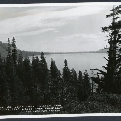 Print, Photographic