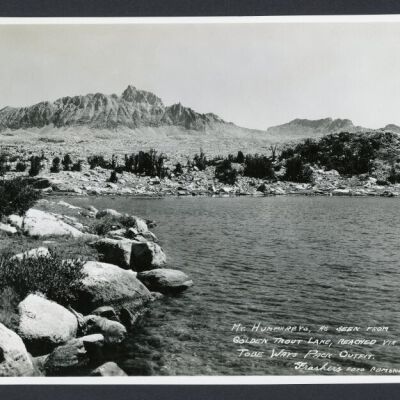 Print, Photographic