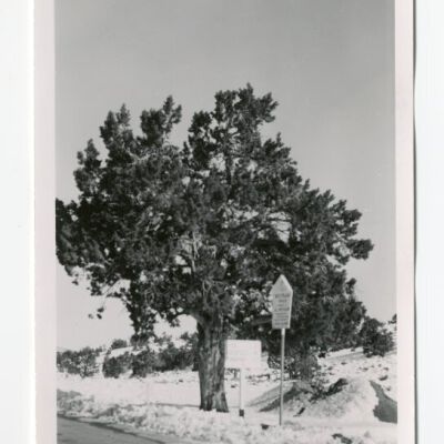 Historical Route Marker at Hangman's Tree Rte. 63 A,B Post Summit Westgard Pass