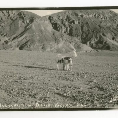 Breakfast in Death Valley, Cal.