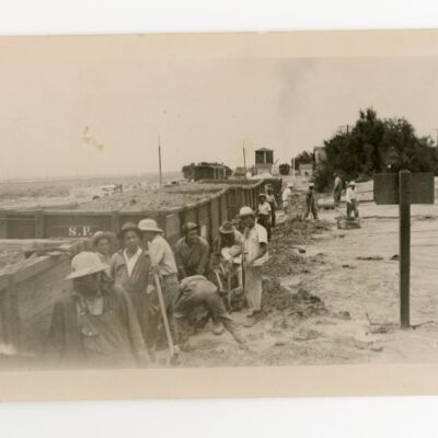 Print, Photographic