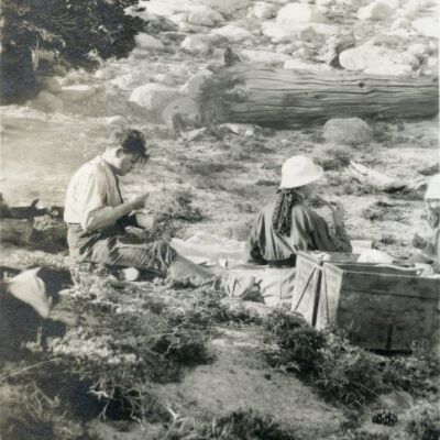 Print, Photographic