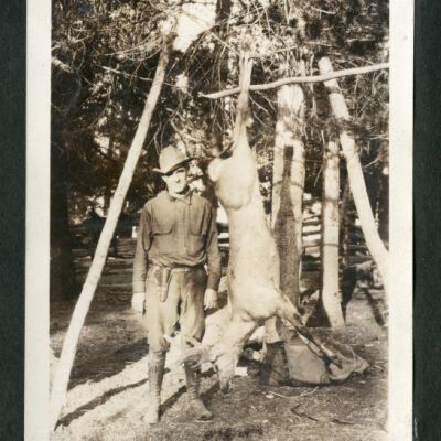 Print, Photographic