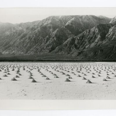 Print, Photographic