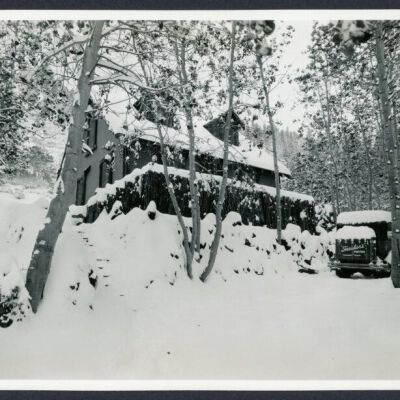 Print, Photographic
