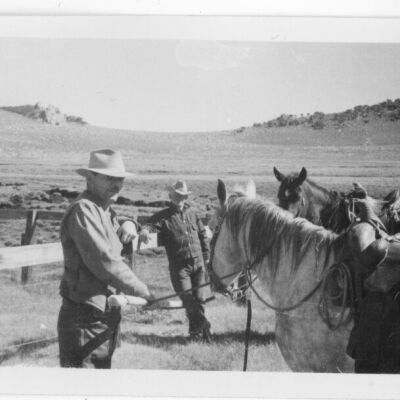 Print, Photographic