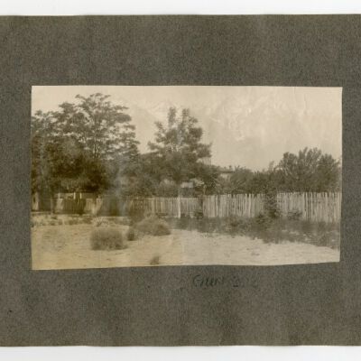 Print, Photographic
