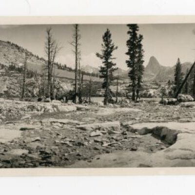 Print, Photographic