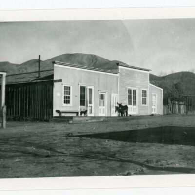 Print, Photographic