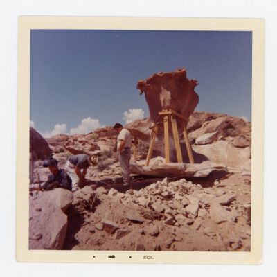 Print, Photographic