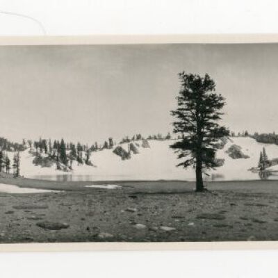 Print, Photographic