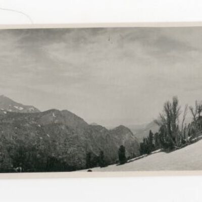 Print, Photographic