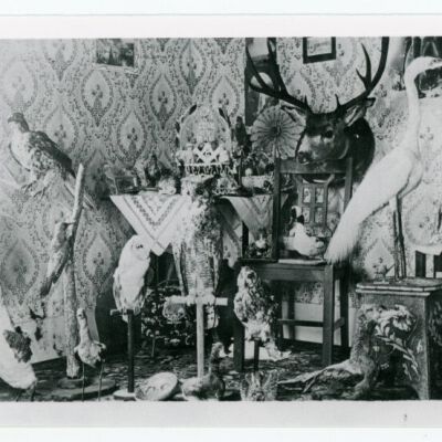 Print, Photographic