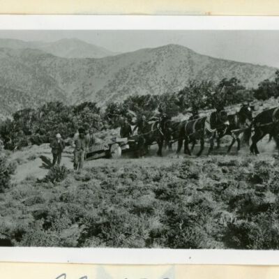 Print, Photographic