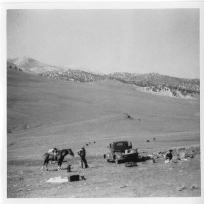 Print, Photographic