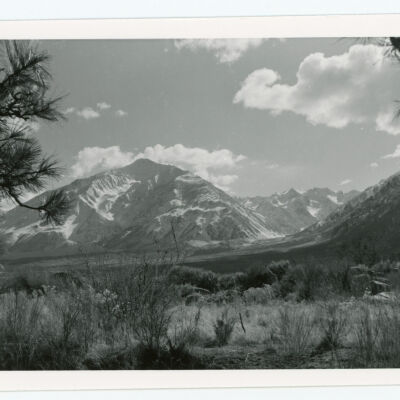 Print, Photographic