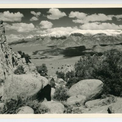 Print, Photographic
