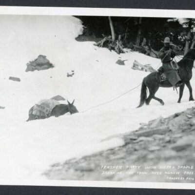 Print, Photographic